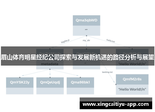 眉山体育明星经纪公司探索与发展新机遇的路径分析与展望